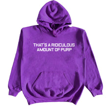 Load image into Gallery viewer, THAT&#39;S A RIDICULOUS AMOUNT OF PURP ! HOODIE